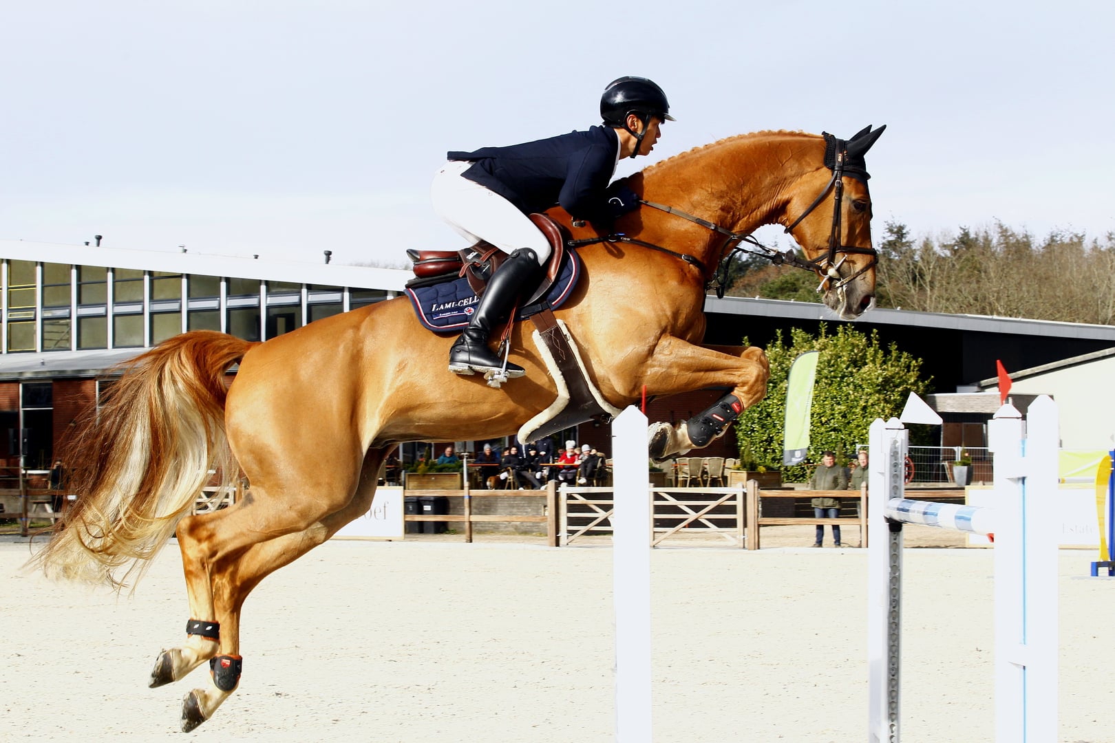 Inschrijvingen open voor 2e CSI Deurne 4-8 mei