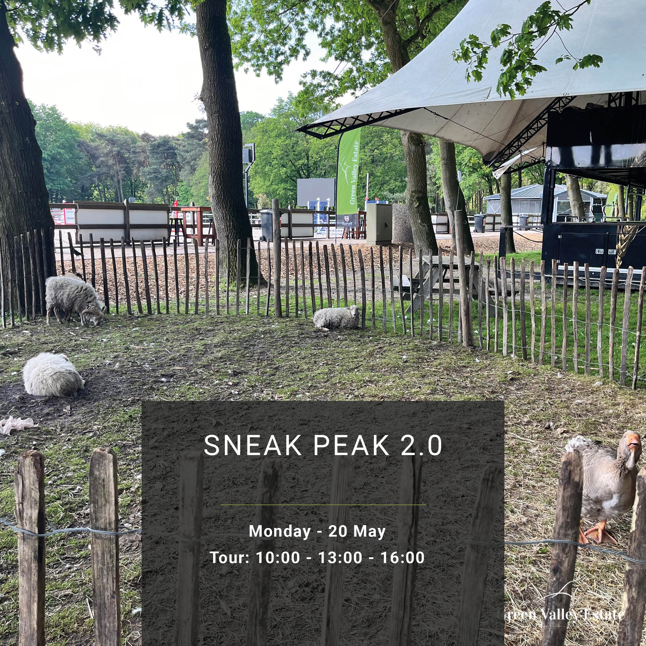 Sneak Peak 2.0