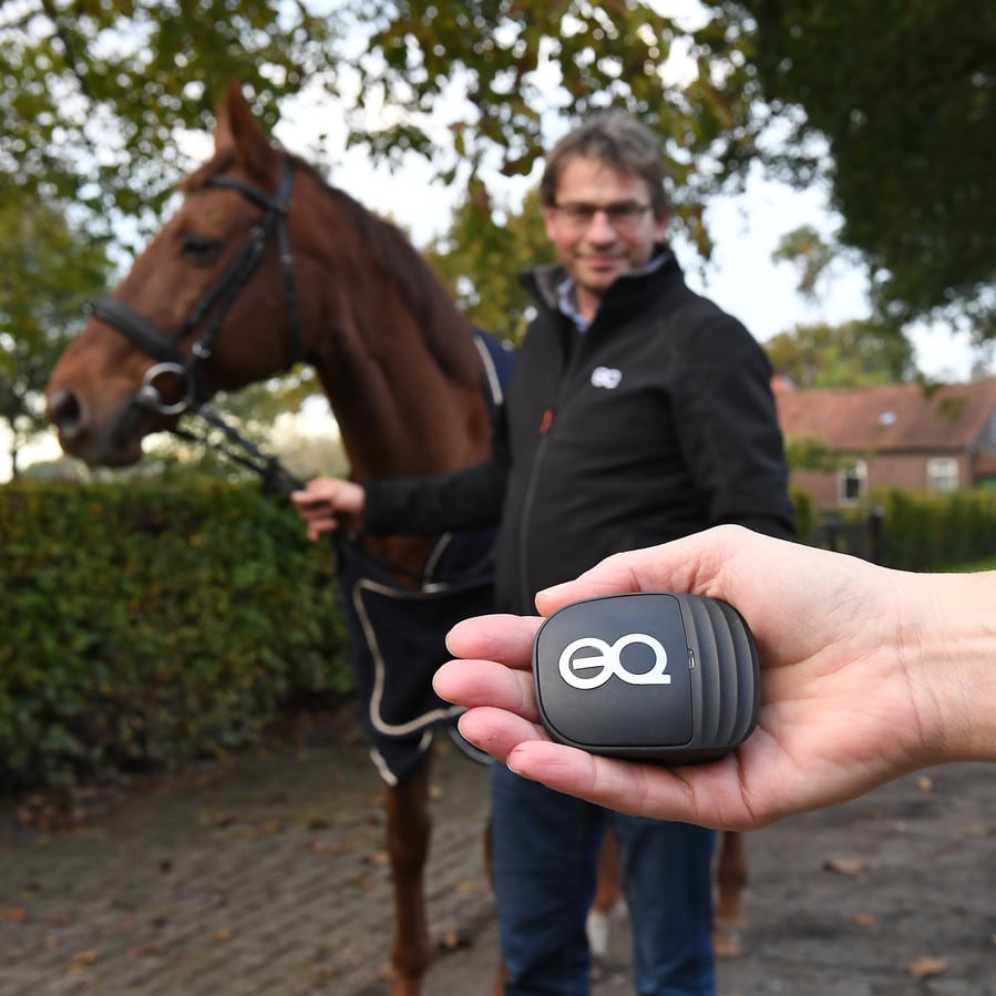 Interview with Equestic: Innovation Among Horses