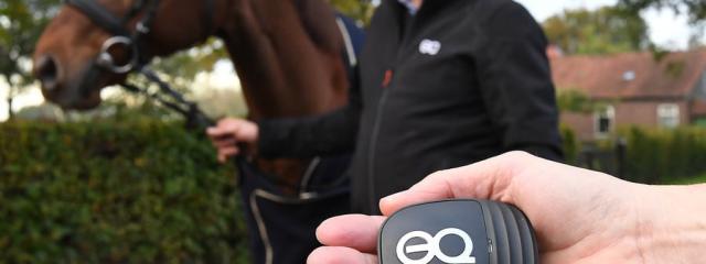 Interview with Equestic: Innovation Among Horses
